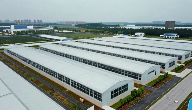 系统调优中定制化方案的性能提升与适用条件分析